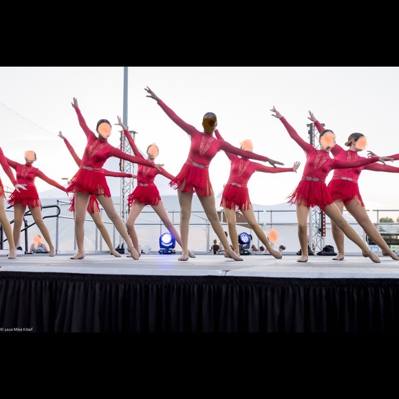 ⭐️ BRAND NEW ⭐️ WEISSMAN STUDIO EXCLUSIVE “AIN’T YOUR MAMA” 11701 DANCE COSTUME - Picture 6 of 8